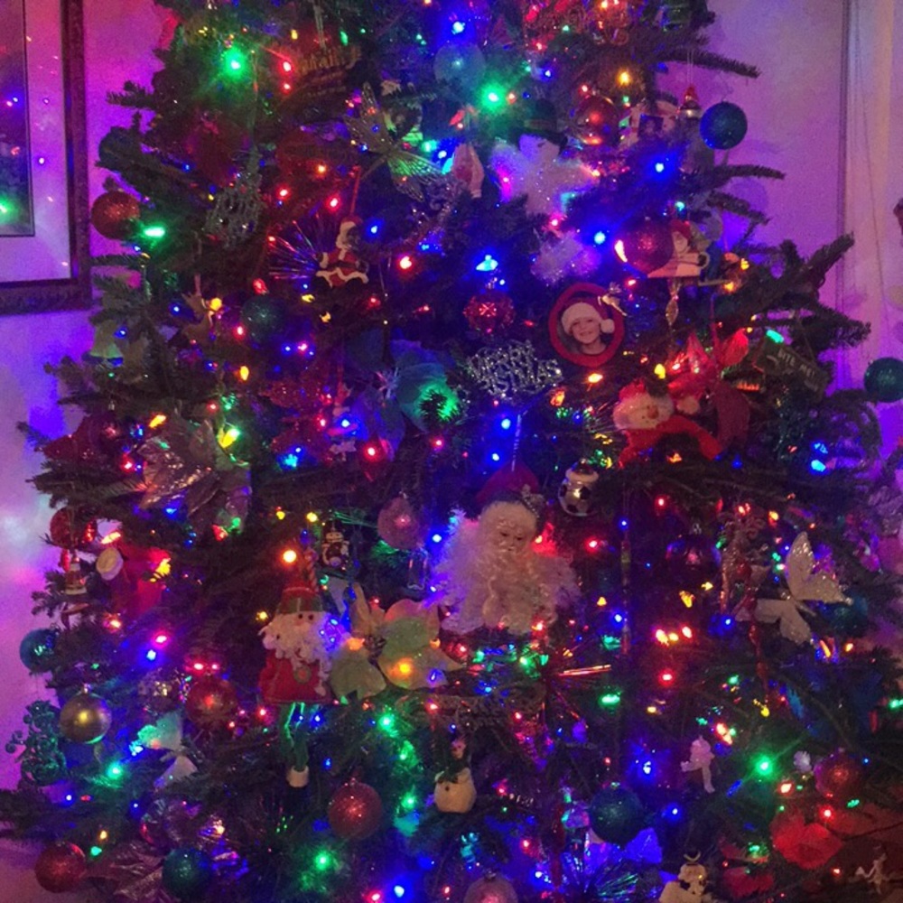 Meet your Posher, Virginia